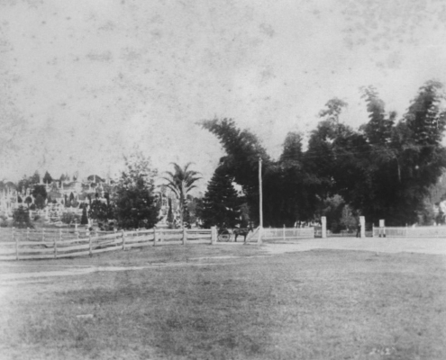 Brisbane General Cemetery ca 1889 courtesy SLQ