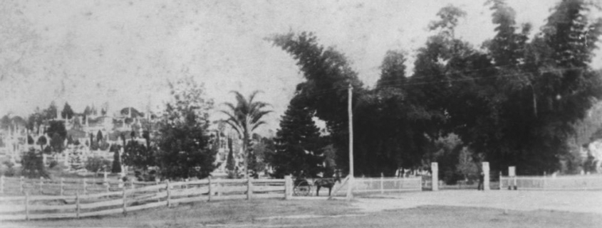 Brisbane General Cemetery ca 1889 courtesy SLQ